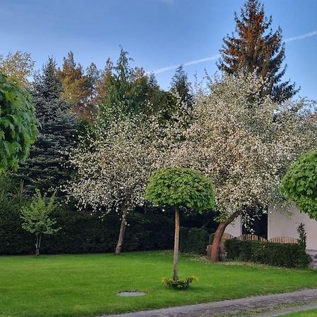 Pod Jablonia Villa Bydgoszcz Ngoại thất bức ảnh