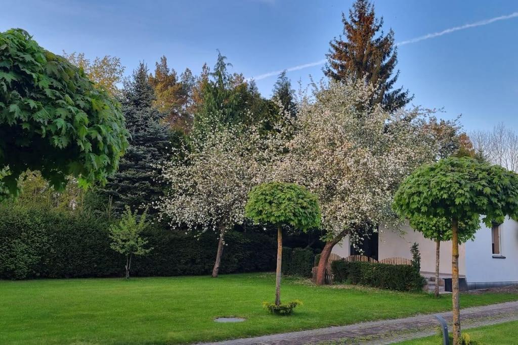 Pod Jablonia Villa Bydgoszcz Ngoại thất bức ảnh