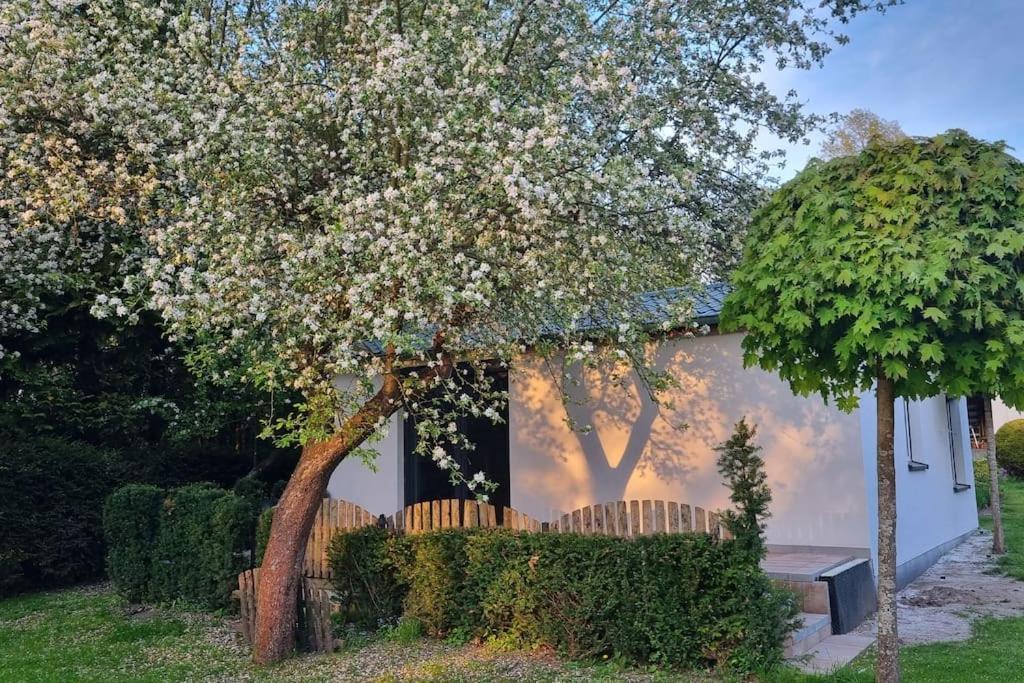 Pod Jablonia Villa Bydgoszcz Ngoại thất bức ảnh