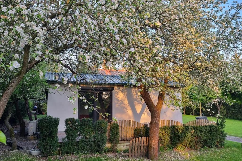 Pod Jablonia Villa Bydgoszcz Ngoại thất bức ảnh