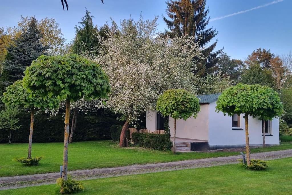 Pod Jablonia Villa Bydgoszcz Ngoại thất bức ảnh
